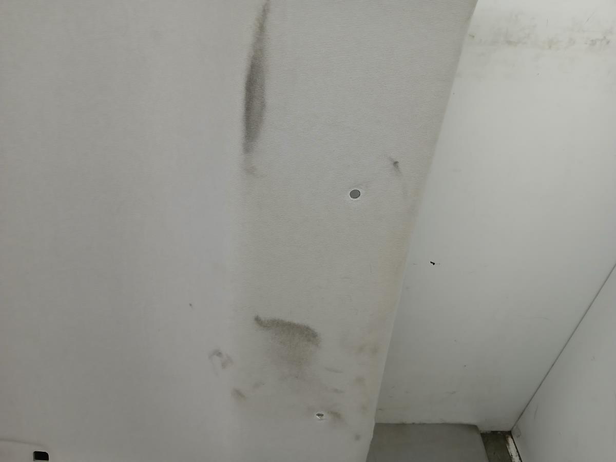 Forra de tejadilho RENAULT Clio V (BF_) Imagem-2