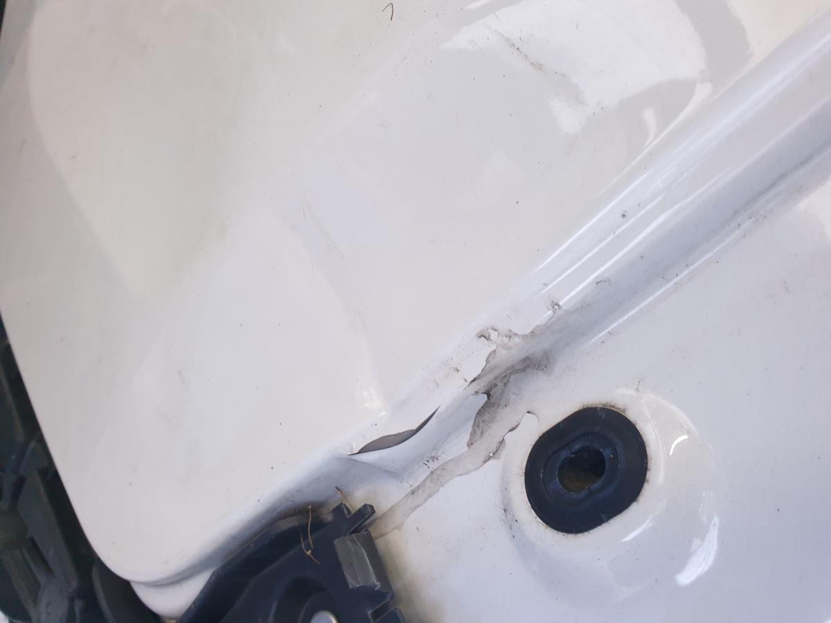 Panel Trasero Izquierdo RENAULT Trafic III Combi (JG_) Imagem-1