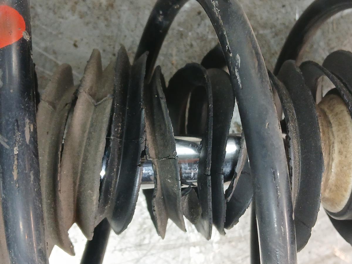 Amortiguador Delantero Derecho RENAULT Twingo III (BCM_) Imagem-2