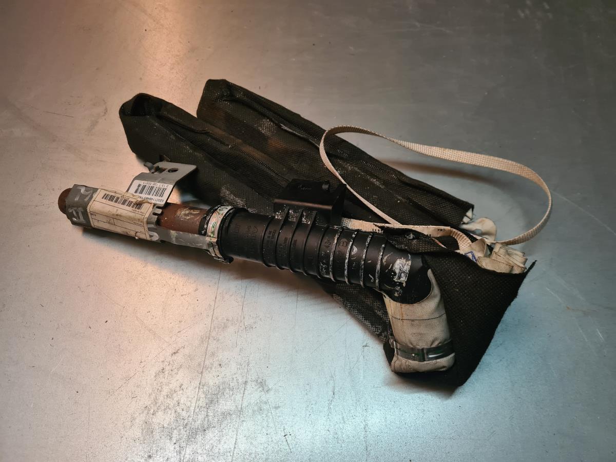 Airbag Rideau Guache RENAULT Scénic III (JZ0/1_)