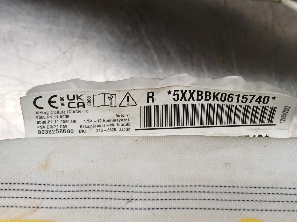 Airbag a Tendina Destra PEUGEOT 2008 II (U_) Imagem-3