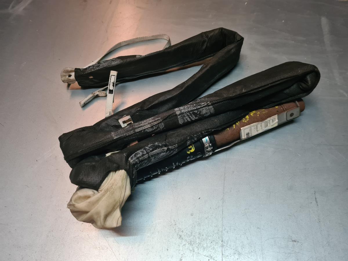 Airbag a Tendina Sinistra RENAULT Megane II (BM0/1_, CM0/1_) Imagem-1