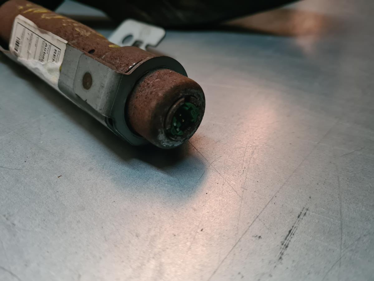 Airbag a Tendina Sinistra RENAULT Megane II (BM0/1_, CM0/1_) Imagem-2