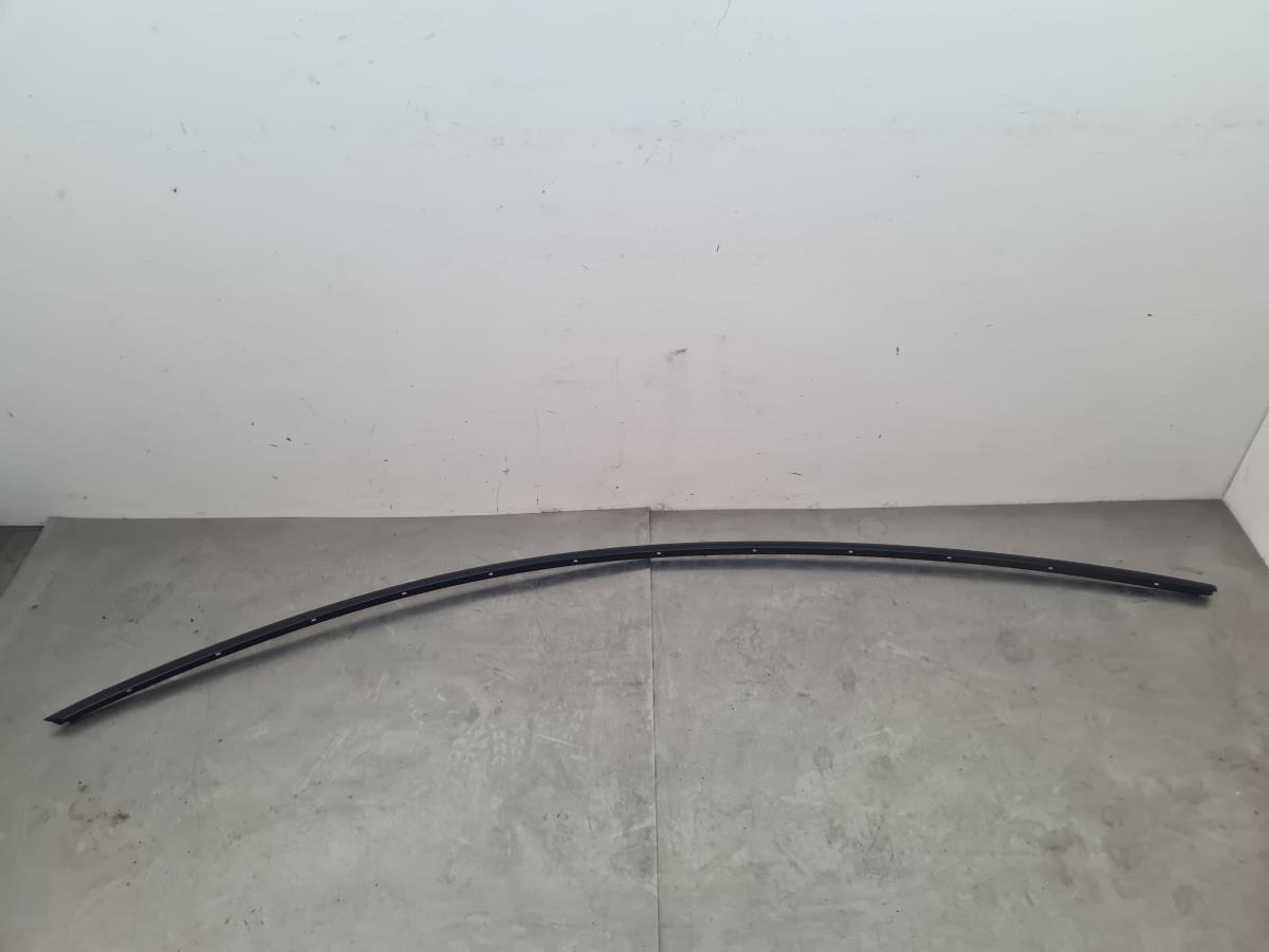 Friso tejadilho TESLA Model 3 (5YJ3)