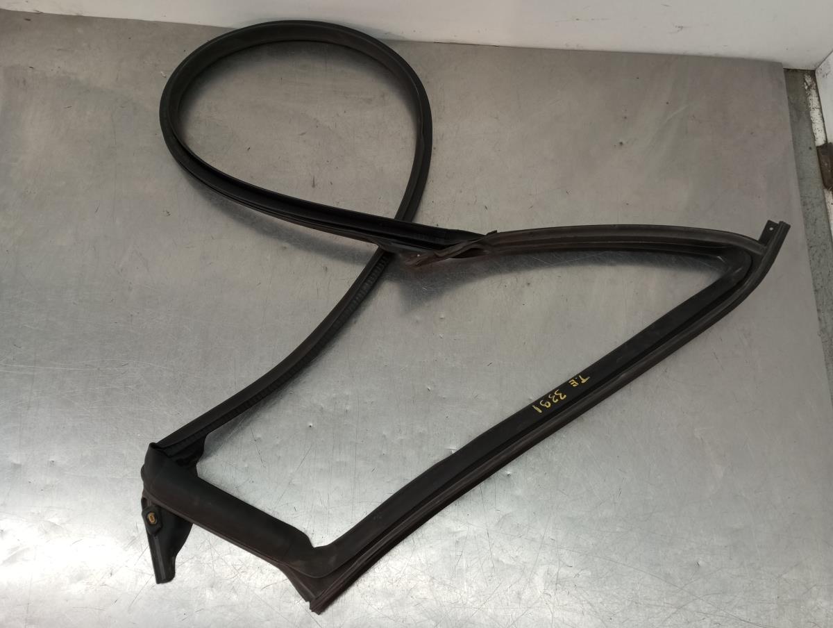Panneau de garniture porte arrière gauche TESLA Model 3 (5YJ3)