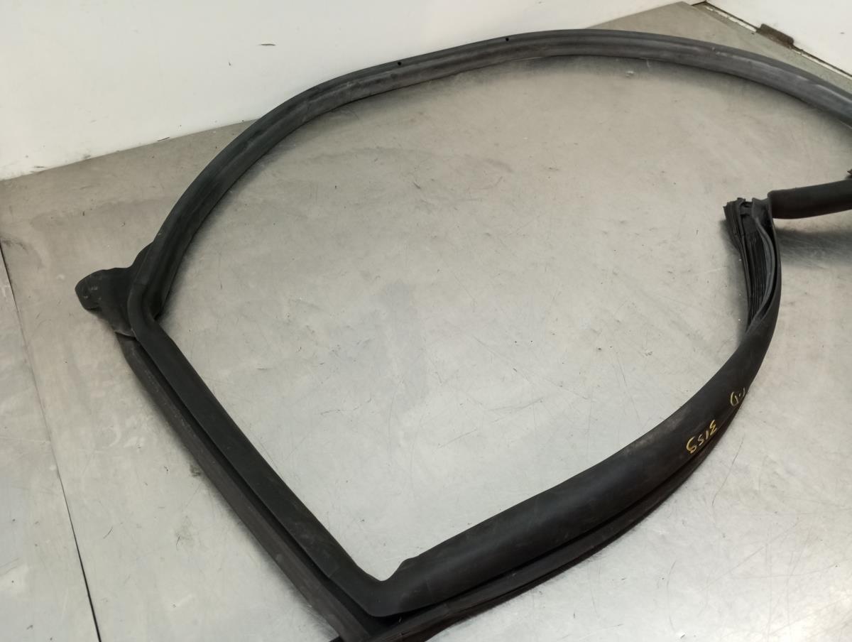 Revestimento porta trás direito TESLA Model 3 (5YJ3) Imagem-1