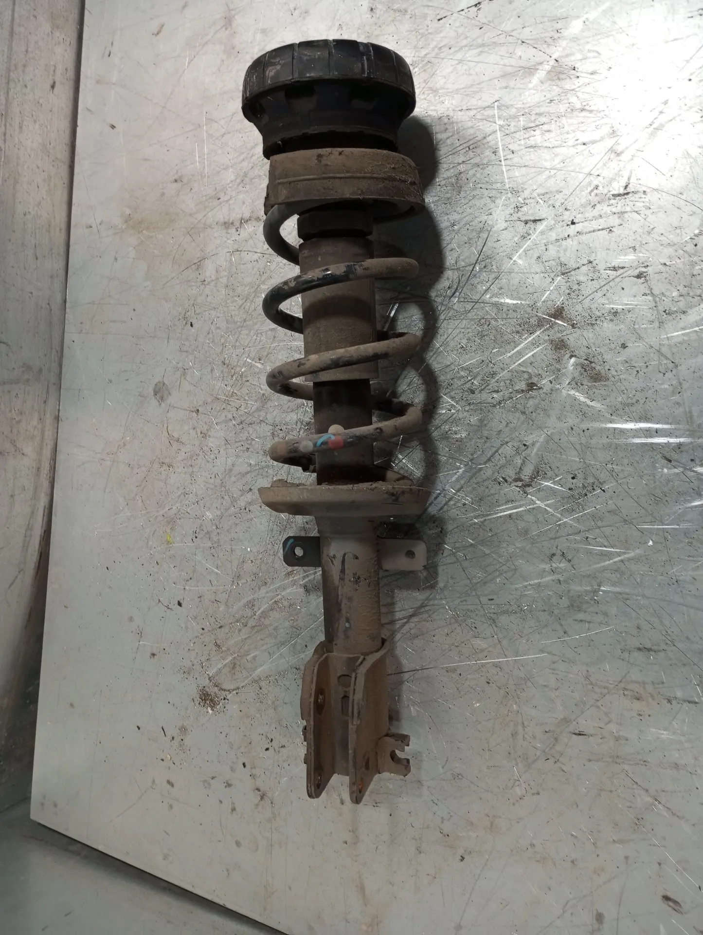 Amortiguador Delantero Derecho RENAULT Trafic III (FG_)