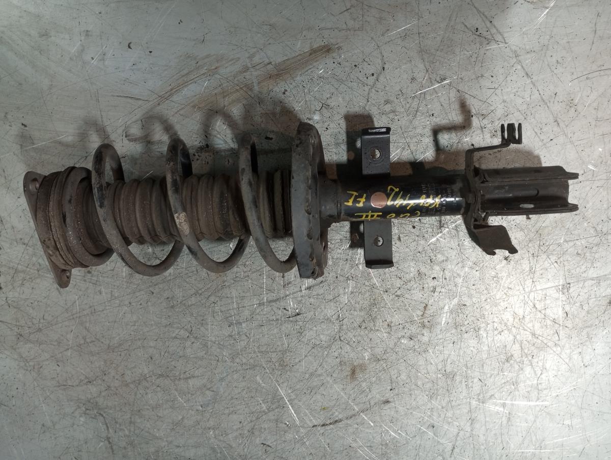 Amortiguador Delantero Izquierdo RENAULT Clio III (BR0/1, CR0/1)