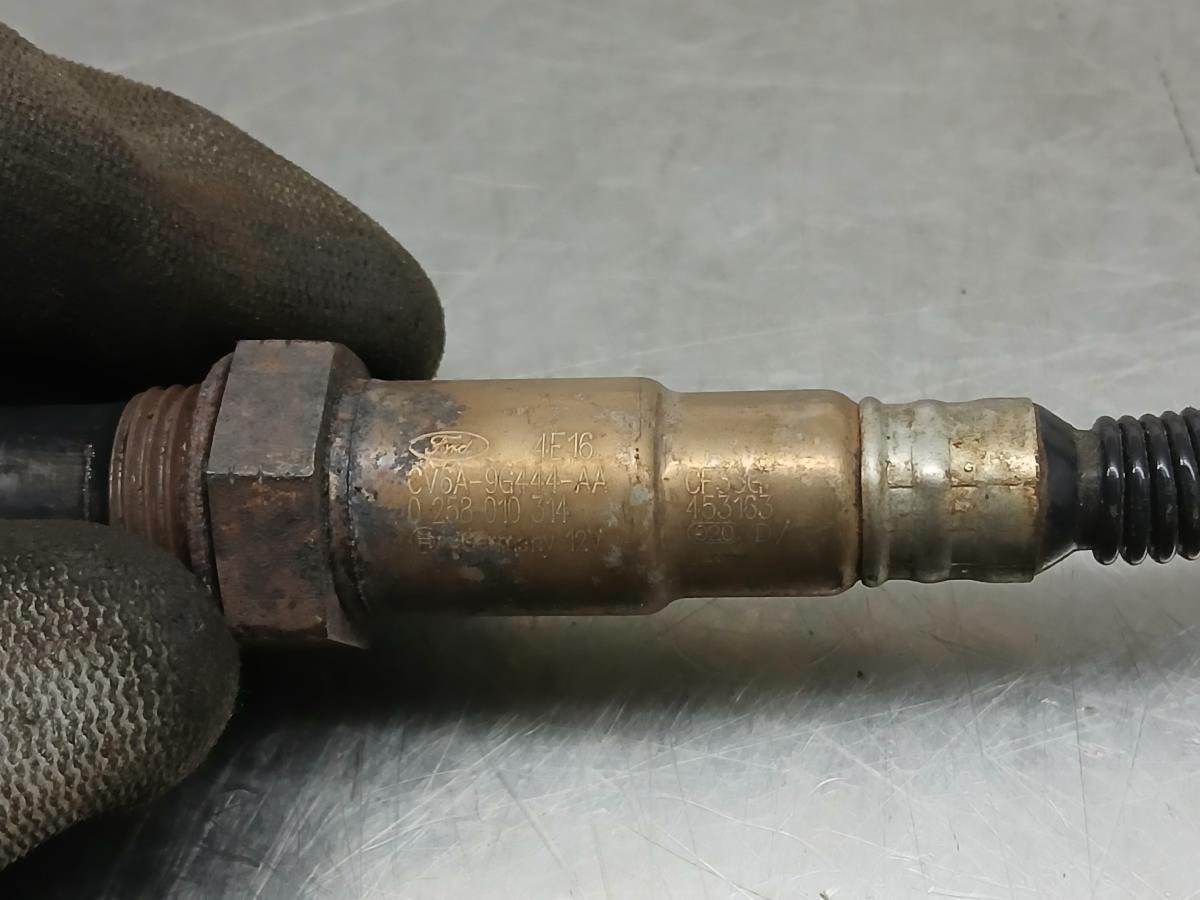 Sonda lambda FORD Fiesta VI (CB1, CCN) Imagem-4