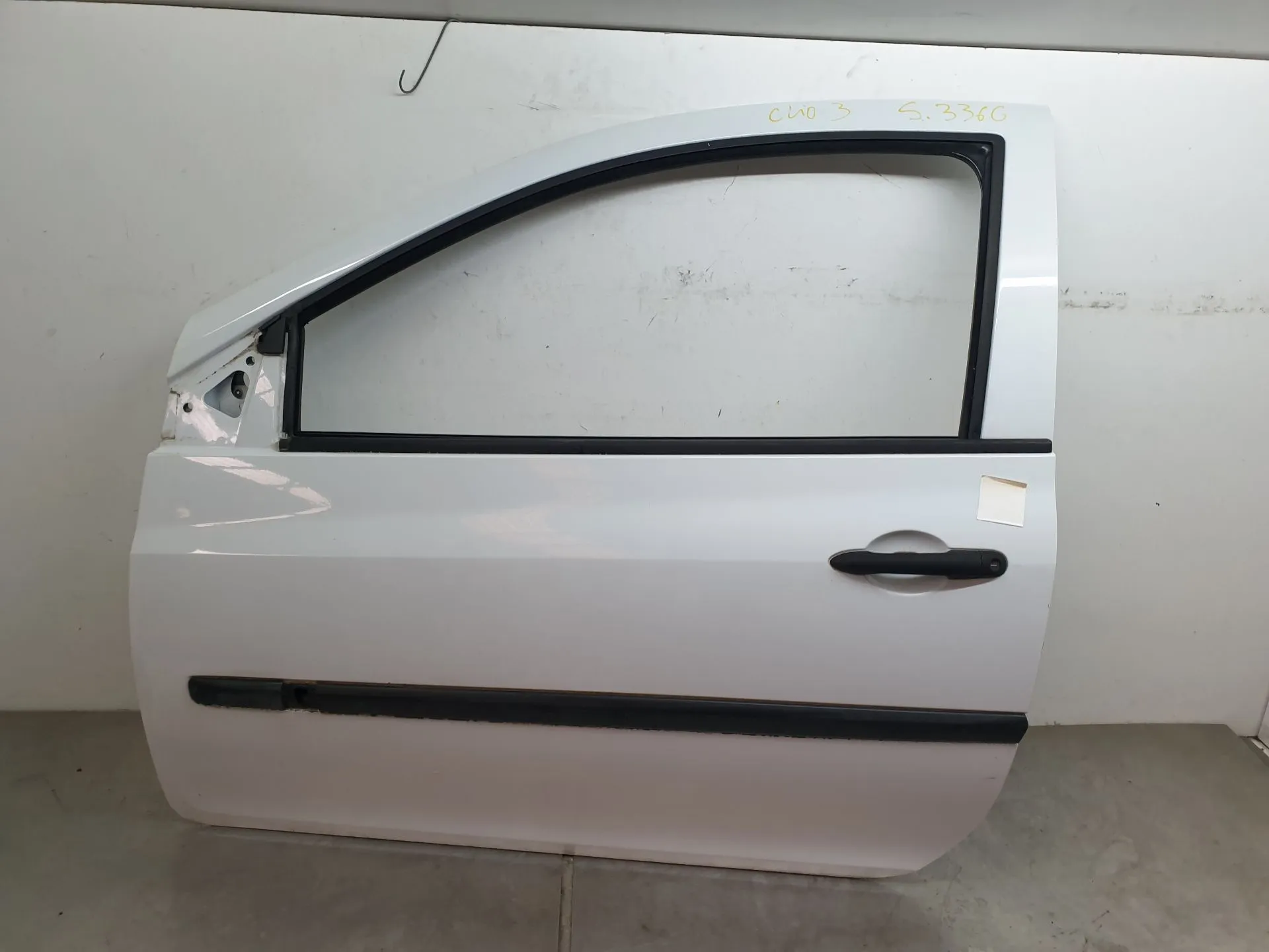 Porta anteriore sinistra RENAULT Clio III (BR0/1, CR0/1)