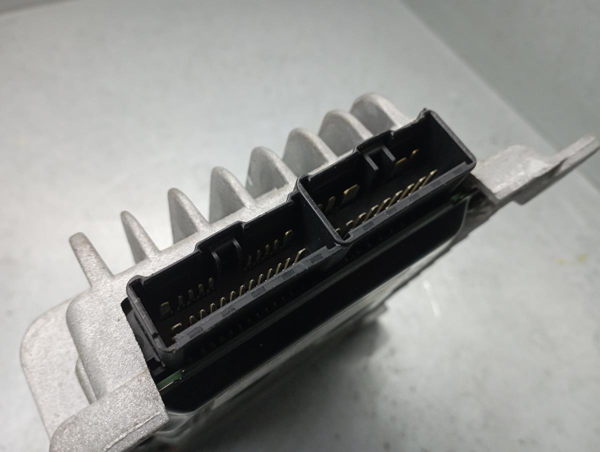 Amplificatore Altoparlanti RENAULT Koleos I (HY_) Imagem-2