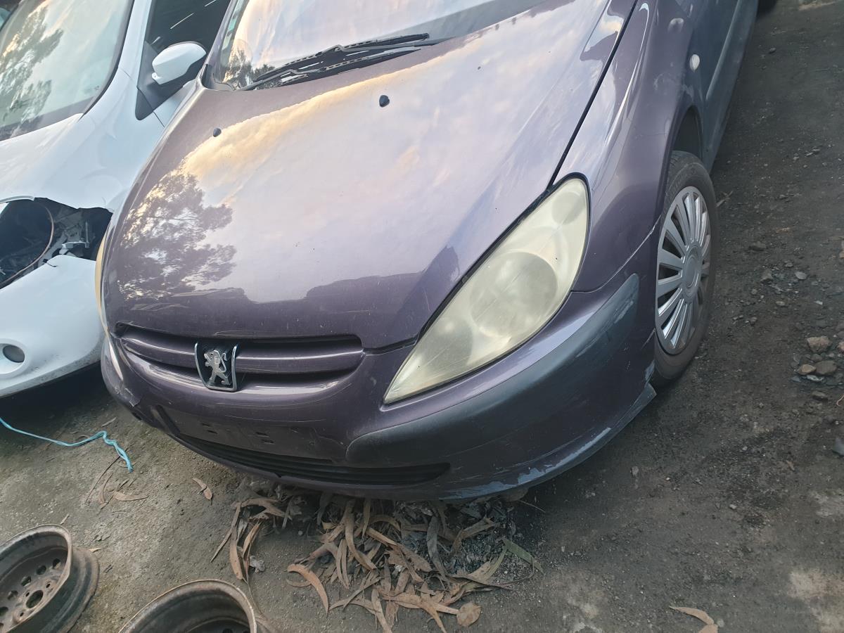 307  PEUGEOT 307 (3A/C)