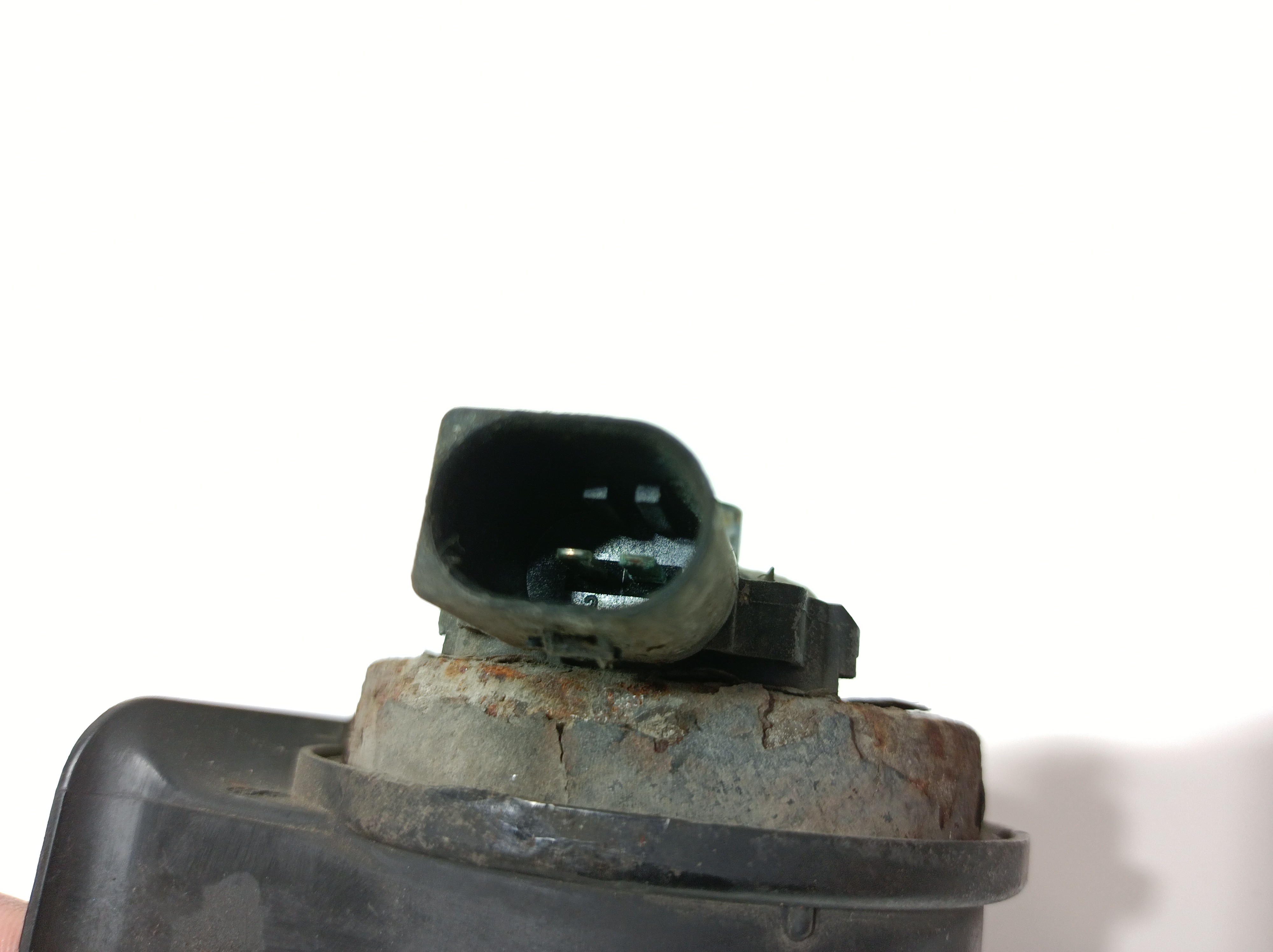 Clacson VOLKSWAGEN Golf V (1K1) Imagem-3