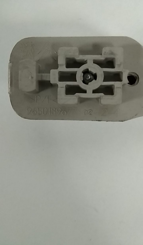 Pega interior porta frente direita PEUGEOT 207 (WA_, WC_) Imagem-2