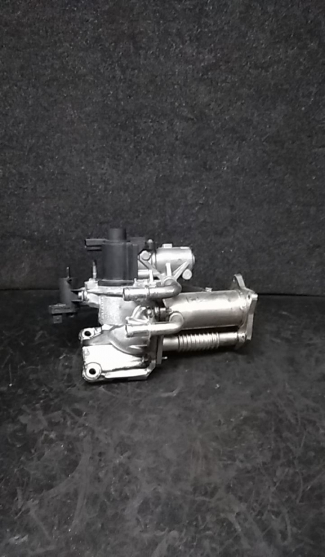 Válvula EGR RENAULT Clio IV (BH_) Imagem-1