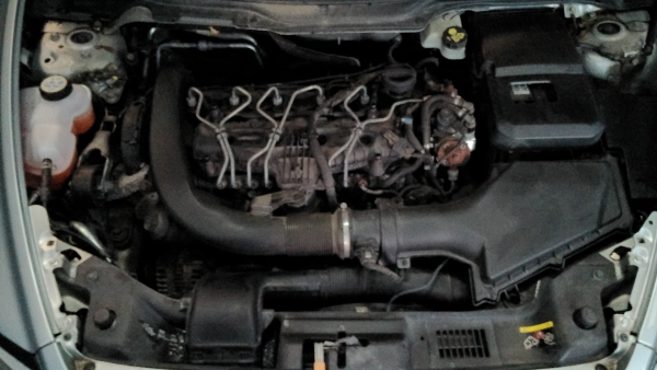 V50  VOLVO V50 (MW) Imagem-16