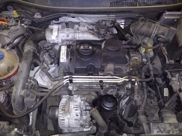 Ibiza III  SEAT Ibiza III (6L1) Imagem-10