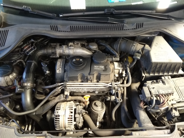 Ibiza IV SportCoupe  SEAT Ibiza IV SportCoupe (6J1, 6P5) Imagem-10