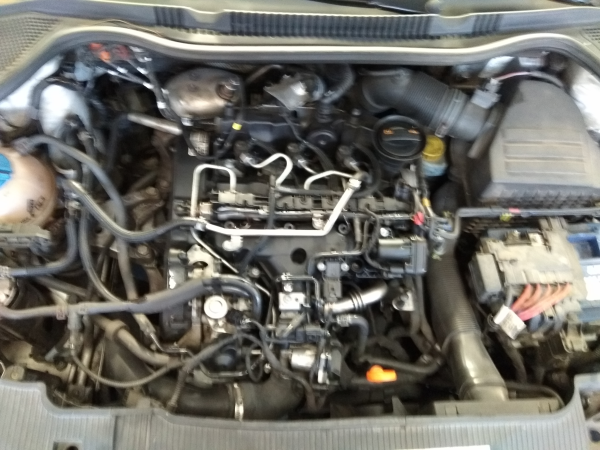 Ibiza IV  SEAT Ibiza IV (6J5, 6P1) Imagem-10