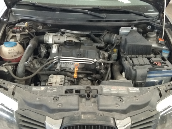 Ibiza III  SEAT Ibiza III (6L1) Imagem-13