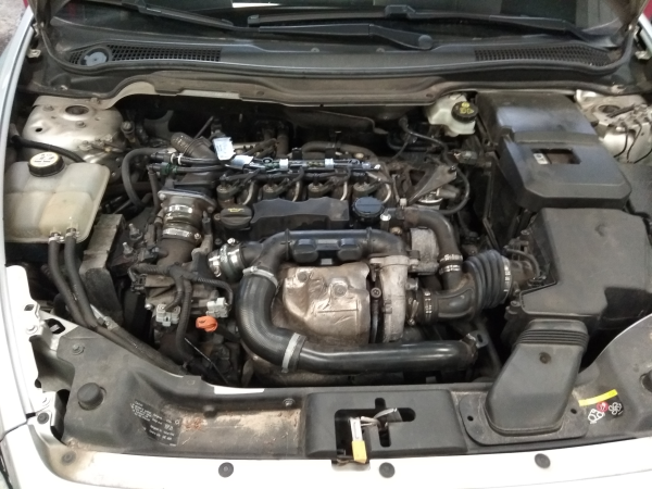 V50  VOLVO V50 (MW) Imagem-7