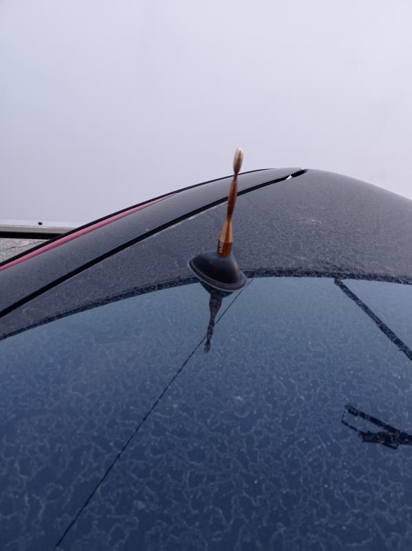 Mini  MINI Mini (R50, R53) Imagem-15