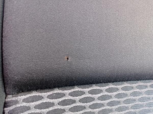 Golf VI  VOLKSWAGEN Golf VI (5K1) Imagem-45