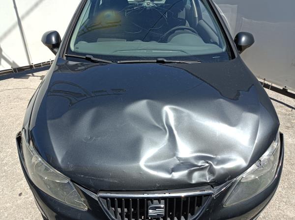 Ibiza IV  SEAT Ibiza IV (6J5, 6P1) Imagem-85