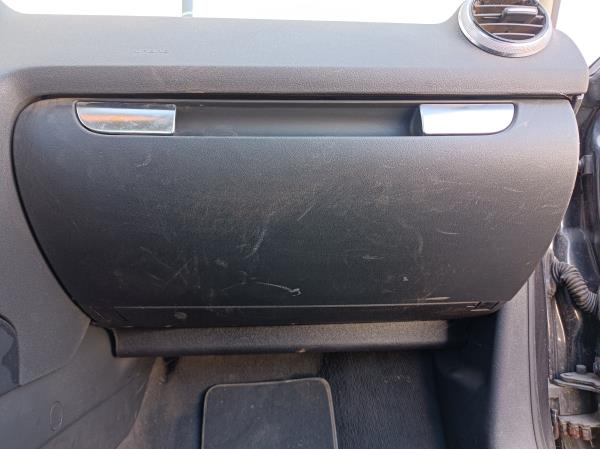 A3  AUDI A3 (8P1) Imagem-86