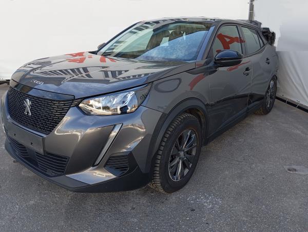 2008 II  PEUGEOT 2008 II (U_) Imagem-5