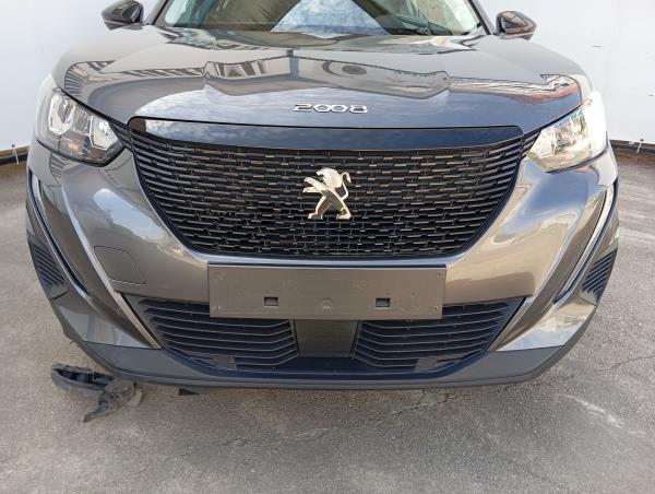 2008 II  PEUGEOT 2008 II (U_) Imagem-22