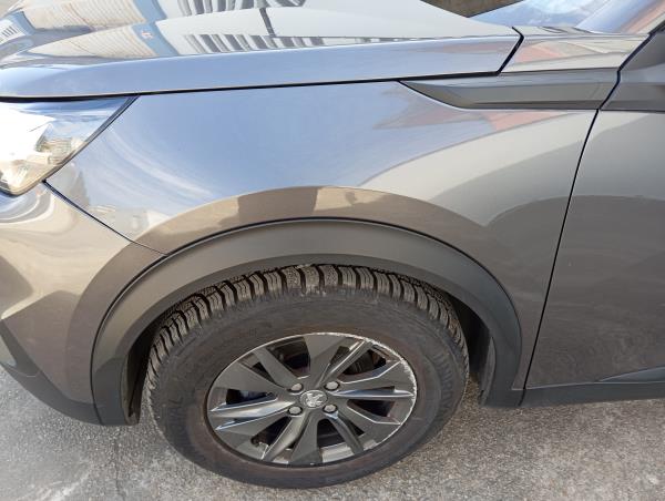 2008 II  PEUGEOT 2008 II (U_) Imagem-25