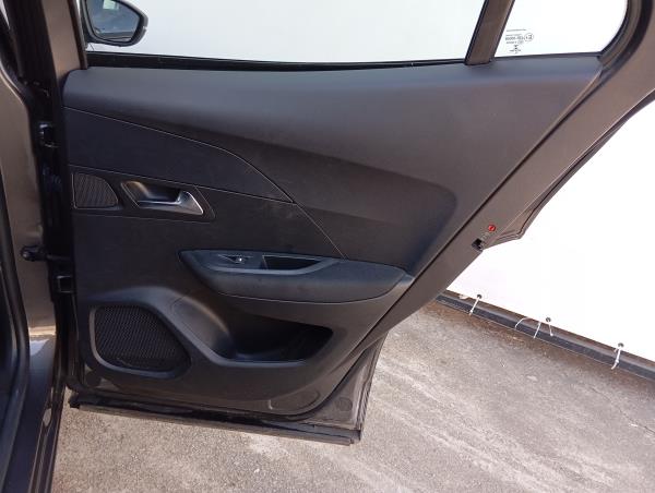 2008 II  PEUGEOT 2008 II (U_) Imagem-59