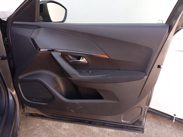 2008 II  PEUGEOT 2008 II (U_) Imagem-62