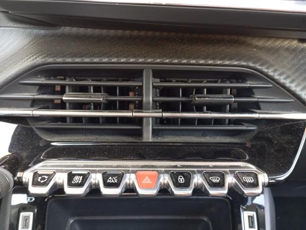 2008 II  PEUGEOT 2008 II (U_) Imagem-69