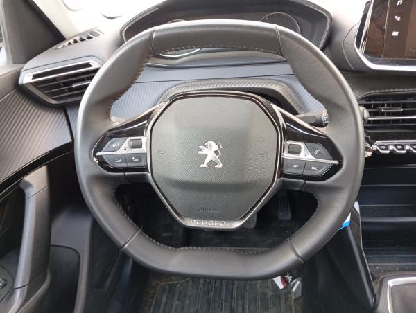 2008 II  PEUGEOT 2008 II (U_) Imagem-75