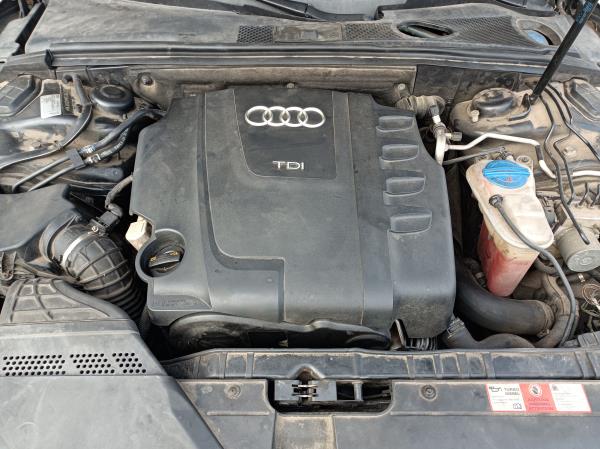 A5 Sportback  AUDI A5 Sportback (8TA) Imagem-7