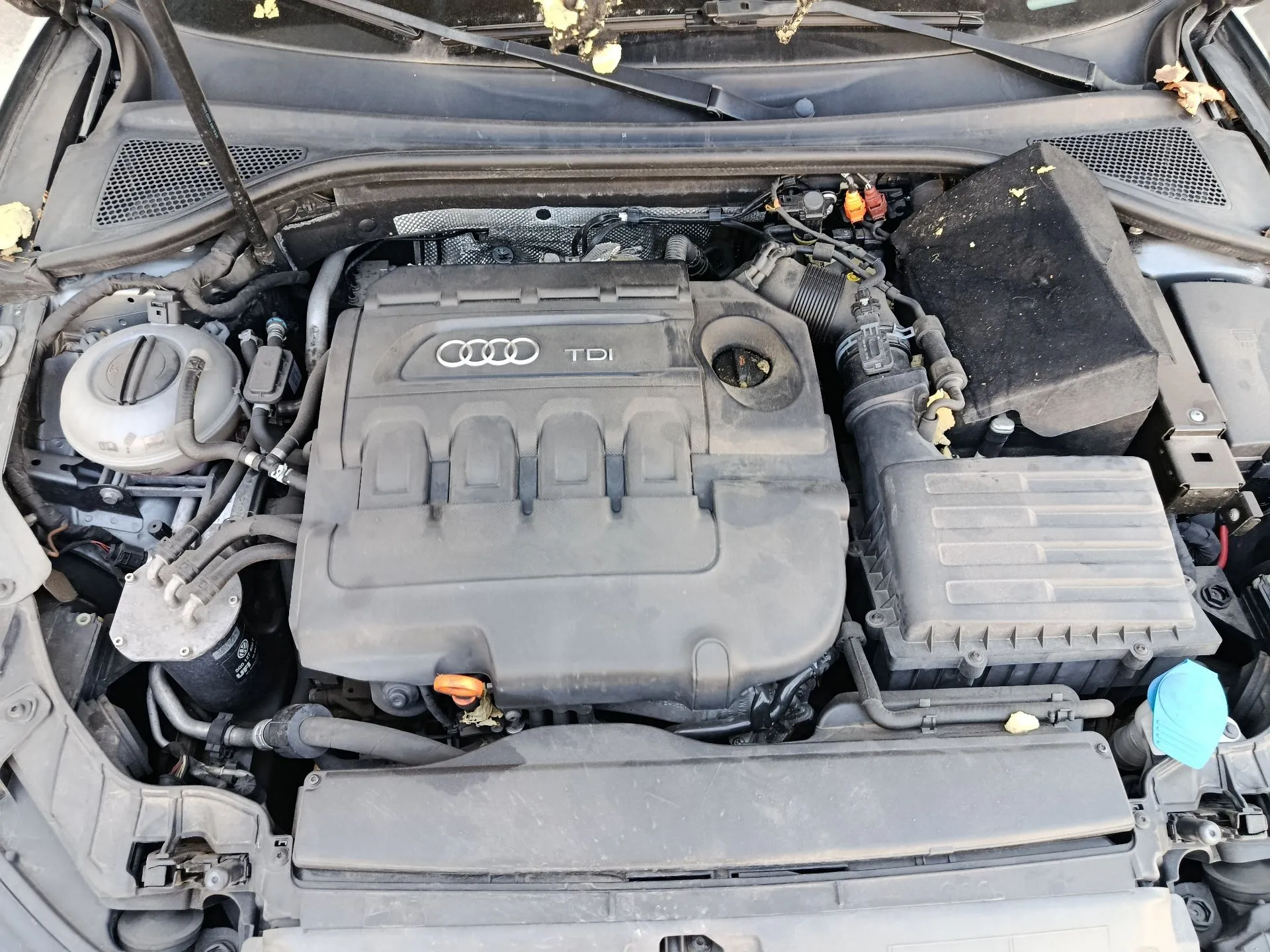 A3  AUDI A3 (8V1, 8VK) Imagem-6