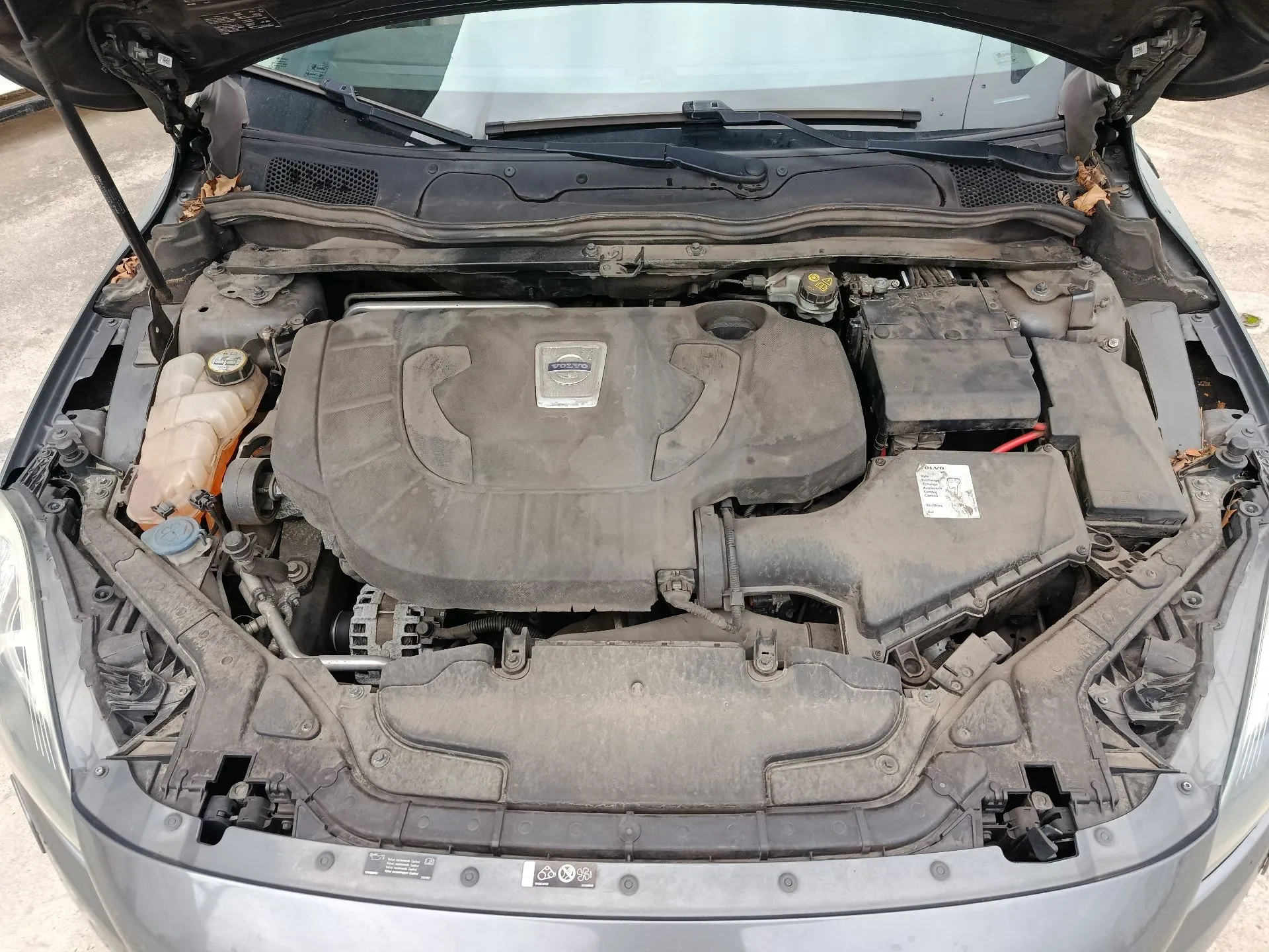 V40 Hatchback VOLVO V40 Hatchback Imagem-7