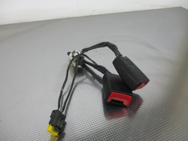 Hebilla de cinturón trasero izquierdo CITROËN C5 II (RC_) Imagem-1