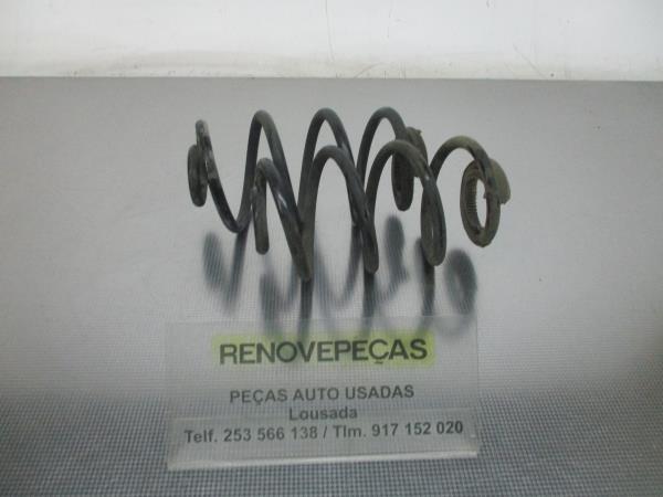 Conjunto molas trás RENAULT Clio III (BR0/1, CR0/1)