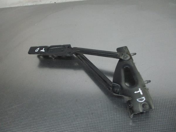 Dobradiça da porta da mala PEUGEOT 407 (6D_) Imagem-1