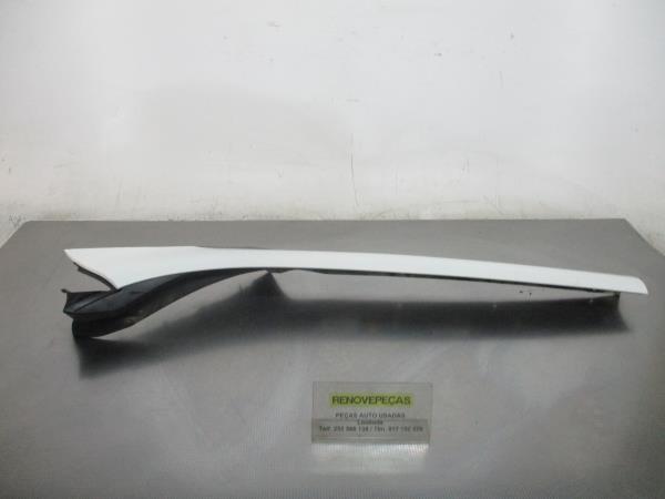 Friso / Frisos RENAULT Scénic III (JZ0/1_)