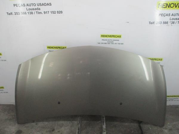 Capot RENAULT Clio III (BR0/1, CR0/1)