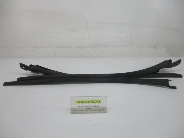 Friso / Frisos RENAULT Clio III (BR0/1, CR0/1)