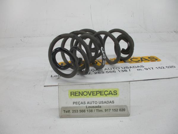 Conjunto molas trás RENAULT Clio III (BR0/1, CR0/1)