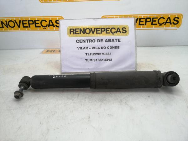 Conjunto amortecedores trás RENAULT Megane III (BZ0_)