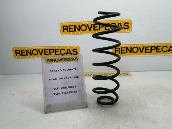 Conjunto molas trás RENAULT Megane III (BZ0_)