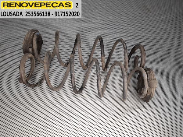 Conjunto molas trás RENAULT Laguna III (BT0/1)