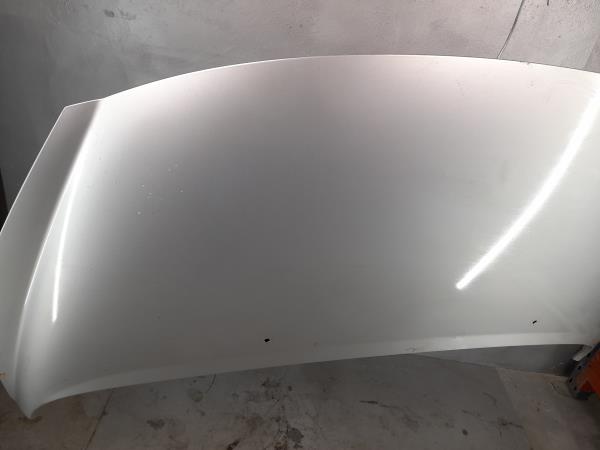 Capot PEUGEOT 207 (WA_, WC_) Imagem-1